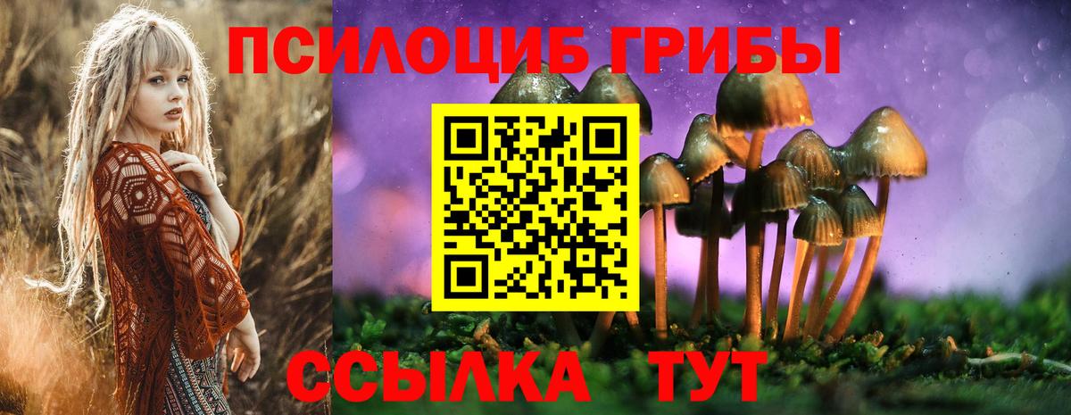 Псилоцибиновые грибы MAGIC MUSHROOMS  даркнет сайт  Псилоцибиновые грибы Magic Shrooms  Вязьма  Вход с VPN 