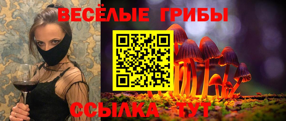 Псилоцибиновые грибы Psilocybine cubensis Вязьма
